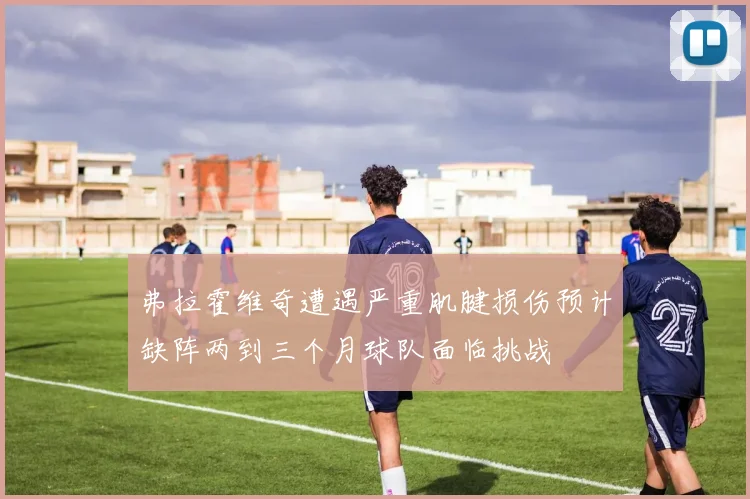 弗拉霍维奇遭遇严重肌腱损伤预计缺阵两到三个月球队面临挑战