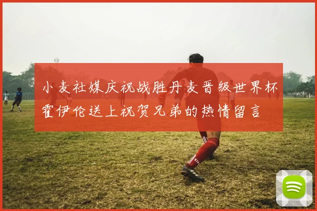 小麦社媒庆祝战胜丹麦晋级世界杯霍伊伦送上祝贺兄弟的热情留言