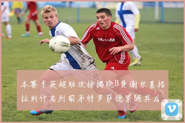 本赛季英超助攻榜揭晓B费谢尔基格拉利什名列前茅特罗萨德紧随其后