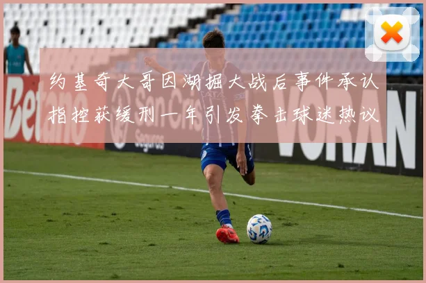 约基奇大哥因湖掘大战后事件承认指控获缓刑一年引发拳击球迷热议