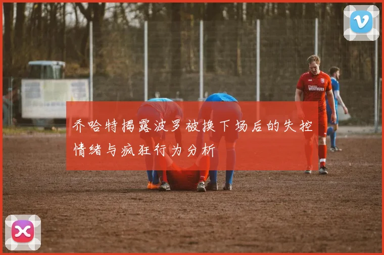 乔哈特揭露波罗被换下场后的失控情绪与疯狂行为分析