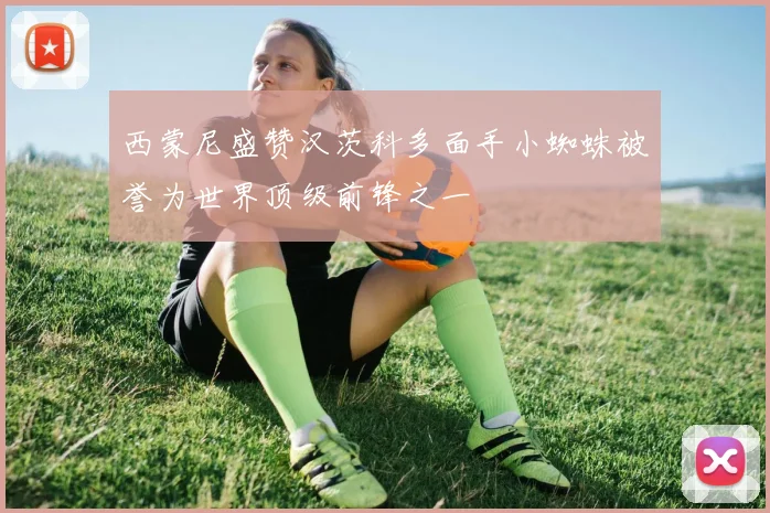 西蒙尼盛赞汉茨科多面手小蜘蛛被誉为世界顶级前锋之一